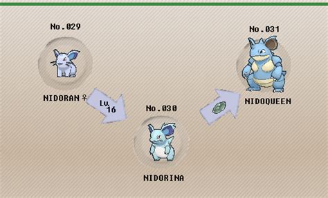nidoqueen evolution|nidoqueen serebii.